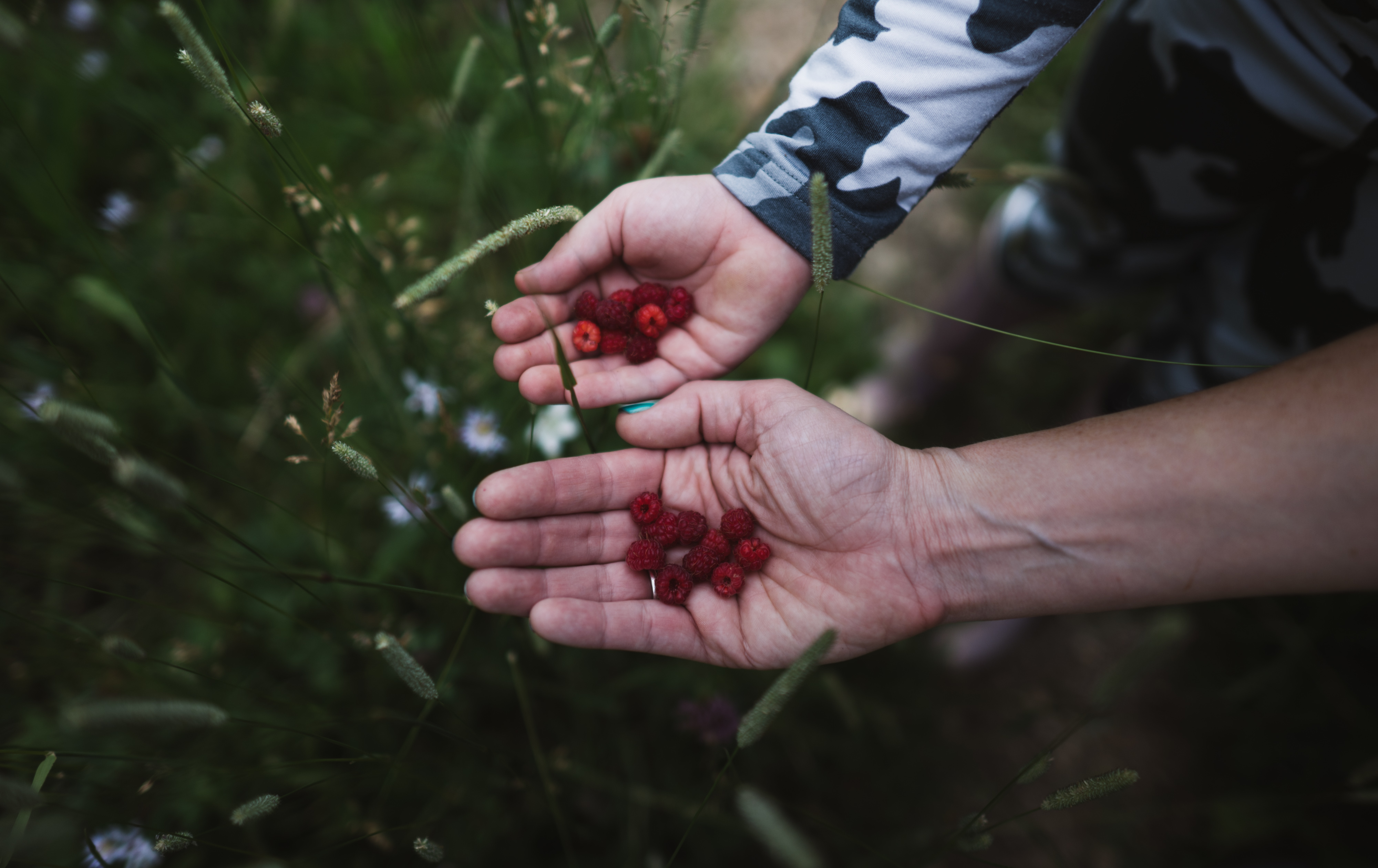 raspberries and hands